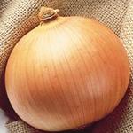 Onion Yellow Candy Plant